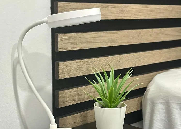 Bed and breakfast Casa Capitan Coliving Coworking Digital Nomads *